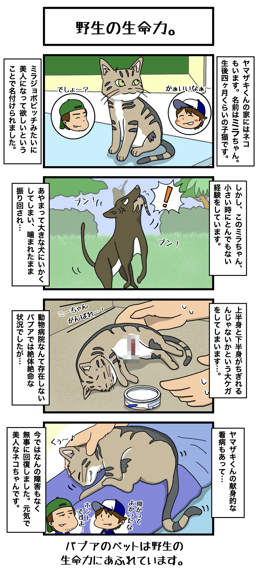 パプアのイッヌ 第7話 野生の生命力 パプアニューギニア Jica海外協力隊ブログ パプア服部くんのpng日記 パプアのイッヌ 第7話 野生の生命力 パプアニューギニア Jica海外協力隊ブログ パプア服部くんのpng日記