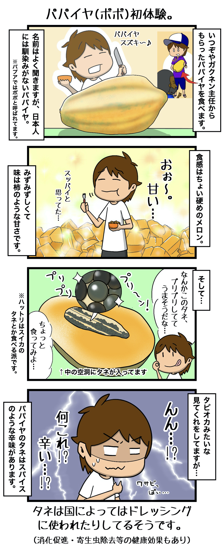 みんなパプアに行けばいい 第132話 パパイヤ ポポ 初体験 パプアニューギニア Jica海外協力隊ブログ パプア服部くんのpng日記